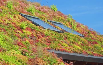 Greylees living roof systems